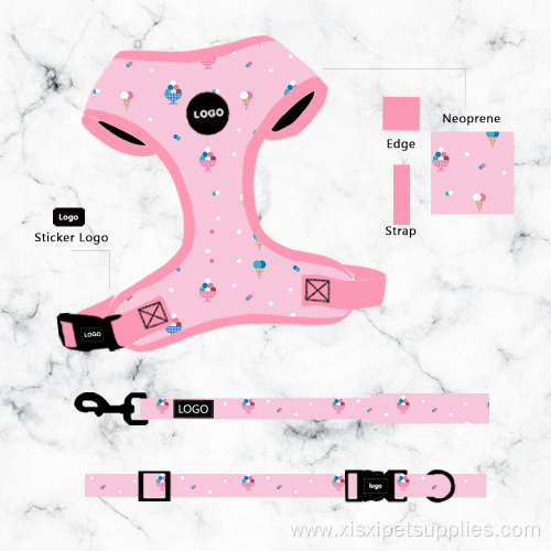 Dog Leash and Collar Set Safe Comfy Bright